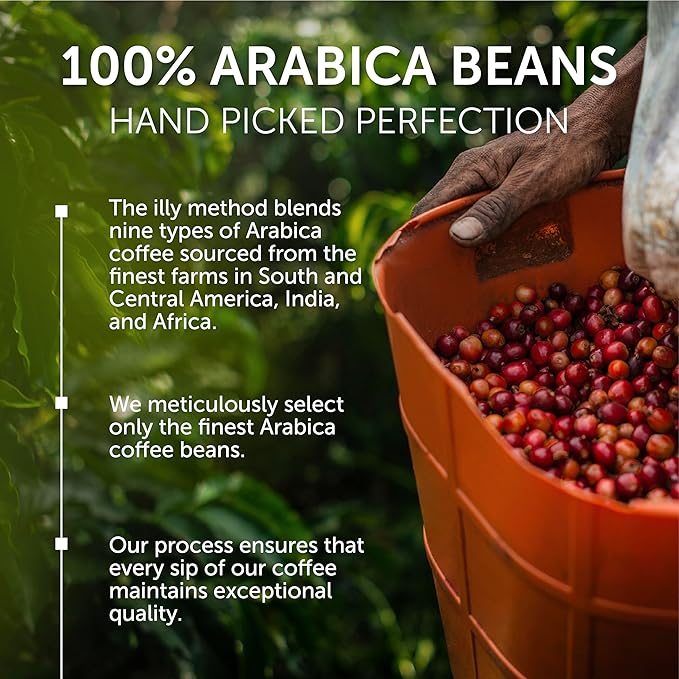 Illy Whole Bean Coffee, Intenso Bold Roast - Bold & Flavorful - 100% Arabica - Whole Beans - Pressurized Packaging Sealed for Freshness - 8.8oz can (Pack of 12)