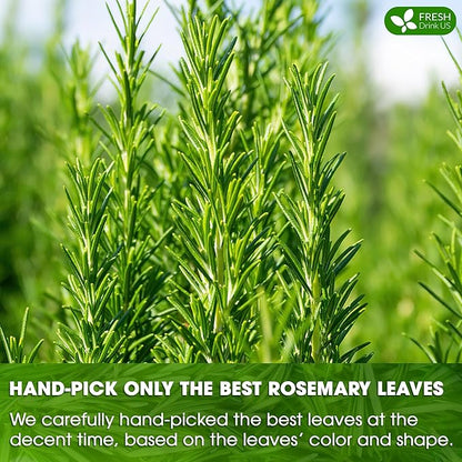 FreshDrinkUS, Premium 100 Rosemary Leaf Tea Bags, Made with 100% Natural Rosemary Dried Leaves, Pure Rosemary Herbal Tea, No Additives, No Caffeine, No Gluten, Vegan.