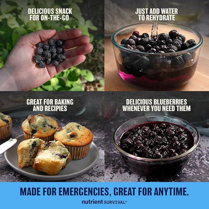 Freeze-Dried Blueberries - #10 Can | 25-Year Shelf Life | Emergency Food
