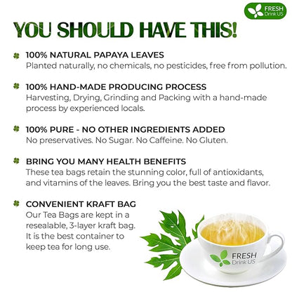 FreshDrinkUS Premium 135 Papaya Leaf Tea Bags, 100% Natural & Pure. Loose Leaf Herbal Tea. Made with Natural Material Tea Bags. No Sugar, No Caffeine, No Gluten, Vegan
