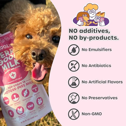 Choolip Berry Good Milk – 10-Pack Lactose-Free Vitamin Milk for Cats & Dogs | Vet-Formulated Pet Drink Supporting Urinary, Joint & Digestive Health | Grain-Free, Ready to Serve