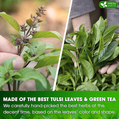 FreshDrinkUS, Premium 135 Tulsi Green Tea Bags, 100% Natural, Blend of Tulsi Holy Basil Leaves, and Green Tea Leaves. Made with Natural Material Tea Bags. No Sugar, Vegan.