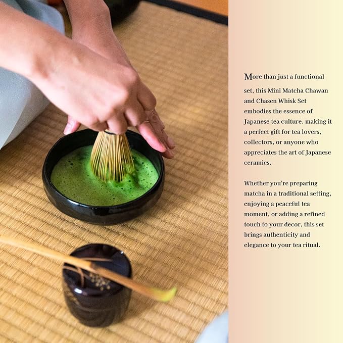 Japanese Traditional Mino Ware Handcrafted Mini Matcha Chawan Tea Bowl Cup Set With Chasen Bamboo Tea Whisk Ceremony Tableware Pottery (Tenmoku Ume)