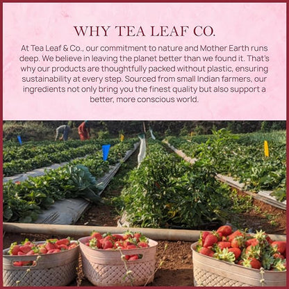 Tealeaf & Co. Strawberry Hibiscus Tea Bags Blended with Fresh Herbs and Spices - Herbal Tea Bags with Organic Spices, Berries & Dried Hibiscus Flower Extract - Low Caffeine - Gluten Free - 50 Teabags