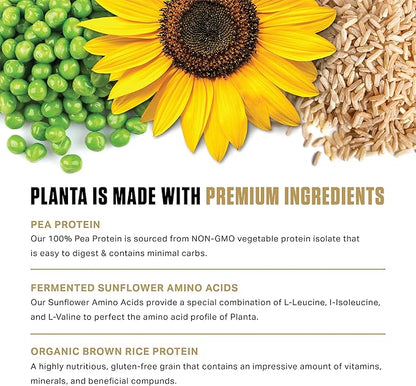 Ambrosia Planta - Premium Plant-Based Protein | Vegan & Keto Friendly | Gourmet Flavors with No Bloating or Stomach Upset | Gluten & Soy Free | No Added Sugar | 25 Servings | Melted Chocolate