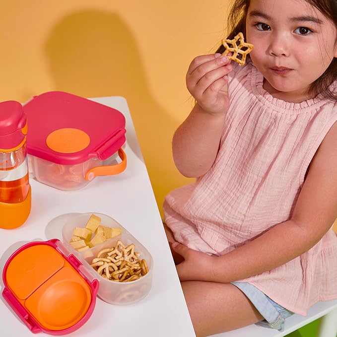 b.box Snack Box for Kids & Toddlers: 2 Compartment Snack Containers, Mini Bento Box, Lunch Box. Leak Proof, BPA free, Dishwasher safe. School Supplies. Ages 4 months+ (Indigo Rose, 12oz capacity)
