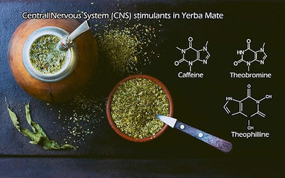 Yerba Mate Tea 1LB (16Oz) HI-CAFFEINE 100% CERTIFIED Organic SUPER-GREEN Yerba Mate | NO Dust | FRESH - NEVER Aged (Ilex Paraguariensis) | Brazilian Rain Forest Grown from U.S. Wellness Naturals