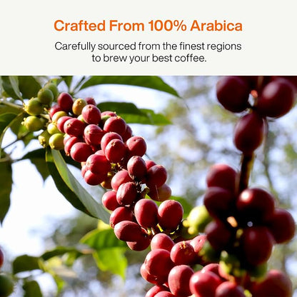 SATURNBIRD Coffee Instant Cold Brew - Light, Medium, Dark Roast Variety Pack, 6 Roast Levels (NO.1-6), 100% Arabica with DIAMONDUST Technology, 24 Single Serves Perfect for Iced Coffee