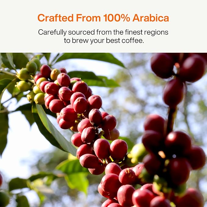 SATURNBIRD Coffee Instant Cold Brew - Medium, Dark Roast Variety Pack, 3 Roast Levels (NO.4-6), 100% Arabica, Enjoy Cold/Hot, 24 Single Serves Perfect for Iced Coffee
