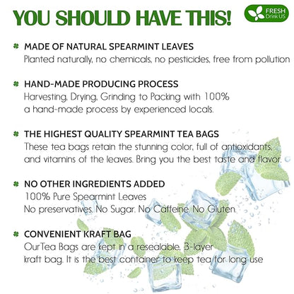 FreshDrinkUS, Premium 135 Spearmint Tea Bags, 100% Natural & Pure Spearmint Leaves. Loose Leaf Spearmint Herbal Tea. Spearmint Leaf Tea. No Sugar, No Caffeine, No Gluten, Vegan.