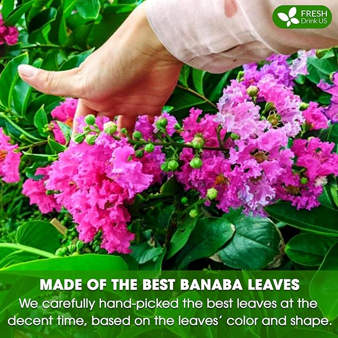 FreshDrinkUS, Premium 40 Banaba Tea Bags, 100% Natural & Pure from Banaba Leaves. Loose Leaf Banaba Herbal Tea. No Sugar, No Caffeine, No Gluten, Vegan.