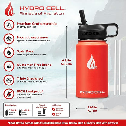 HYDRO CELL Stainless Steel Insulated Water Bottle with Straw - For Cold & Hot Drinks - Metal Vacuum Flask with Screw Cap and Modern Leakproof Sport Thermos for Adults (Mandarin 14oz)