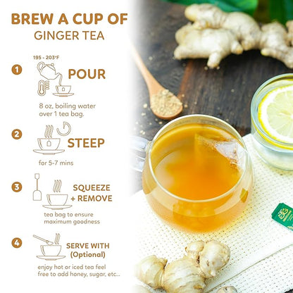 Indochine Blends, Ginger Tea Bags, 50 Teabags, 2g/bag, Individually Wrapped Envelopes, Caffeine-free, No Sugar, Healthy Belly Herbal Tea Supports Digestion & Boosts the Immune System
