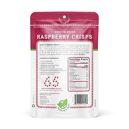 Nature's Turn Freeze-Dried Fruit Snacks, Raspberry Crisps, Pack of 6 (1.2 oz Each)