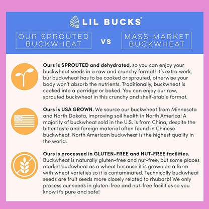 Clusterbucks Superfood Clusters – Grain-Free, Keto-Friendly Granola with Regeneratively Grown Sprouted Buckwheat– Gluten-Free, Low-Carb, Organic Healthy Snack (6 Ounce (Pack of 6), Chocolate Sea Salt)