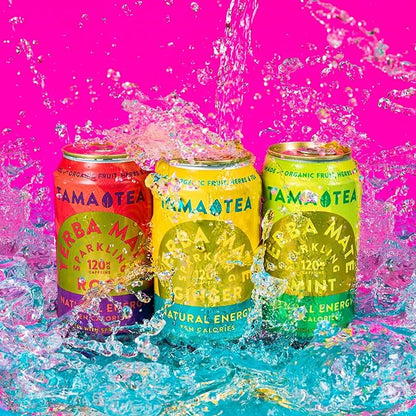 Sparkling Ginger Yerba Mate by Tama Tea - Unsweetened Natural Energy Drink with Real Fruit & Herbs - Healthy Caffeine Drink Alternative - 120mg of Brain-Boosting Caffeine, 10 Calories - 12oz Pack of 12