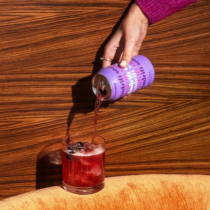 Spindrift "Concord Freeze" Grape Soda Made With Real Squeezed Fruit 12 Pack Case