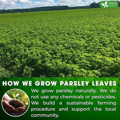 FreshDrinkUS, Premium 15 Parsley Leaf Tea Bags, 100% Natural & Pure from Parsley Leaves. Loose Leaf Parsley Herbal Tea. Made with Natural Material Tea Bags. No Sugar, No Caffeine, No Gluten, Vegan.