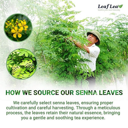 LeafLea 120 Senna Tea Bags – Pure Senna Herbal Laxative Tea, Naturally Supports Constipation Relief & Digestive Cleanse, Caffeine-Free, No Sugar, No Gluten, Non-GMO, Vegan, Individually Wrapped