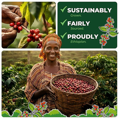 GO RA COFFEE – Ethiopian Roast Whole Bean – Organic Arabica from Ethiopia – Mycotoxin-Free, Single Origin African Beans – Roasted at Source – 500g (17.64 oz) – by Moyee Coffee
