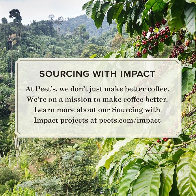 Peet's Coffee, Dark Roast Single Serve Coffee Pods - French Roast 88 Count (4 Boxes of 22 Pods)