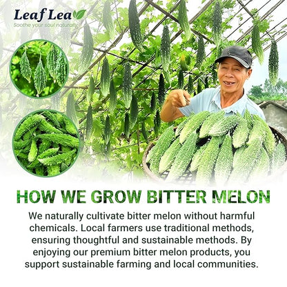 LeafLea 80 Bitter Melon Tea Bags, Premium Dried Momordica Charantia (Melon Amargo, Gohyah) Herbal Fruit Tea | Supports Wellness and Digestion | Caffeine-Free, Sugar-Free, Vegan, Pack of 2