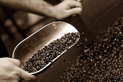 Caffe D'arte Meaning of Life Whole Bean Coffee – Medium Dark Roast, Rich & Well-Balanced Flavor with Great Aroma, Crafted for Drip Brewing, Fresh Roasted in Seattle, 1 Pound (Pack of 2)