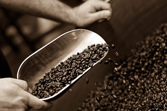 Caffe D'arte Abruzzo Ground Coffee, Medium Roast, Earthy & Winey Notes, Crafted for Drip, 1 Pound Bag, Pack of 2 – Fresh Roasted in Seattle