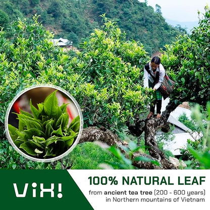 VIXI Oolong Tea Loose Leaf (16.00 Oz), Vietnam's Mountain Tea, Bold Flavored, Dried Whole Full Large Leave, 100% Natural from Ancient Tea Tree for Hot and Cold Brew