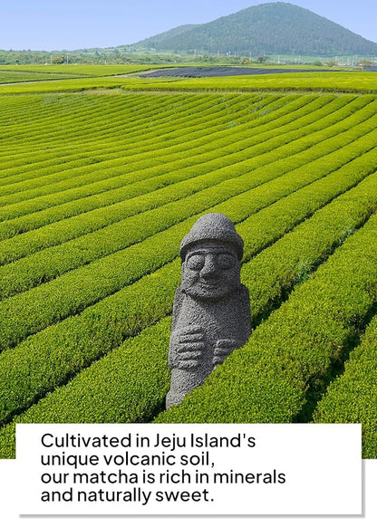 Korean Food Jeju 20 Matcha Powder (1pack, 3.5oz), Jeju Sweet Green tea Latte Mix Powder, Cafe Style Instant Drink, Resealable Bag