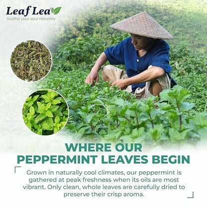 LeafLea 80 Premium Peppermint Tea Bags, 100% Natural Peppermint Leaf Tea, Te de Menta for Soothing Throat & Refreshing Breath, Light and Smooth Flavor, Caffeine-Free, Sugar-Free, Individually Wrapped