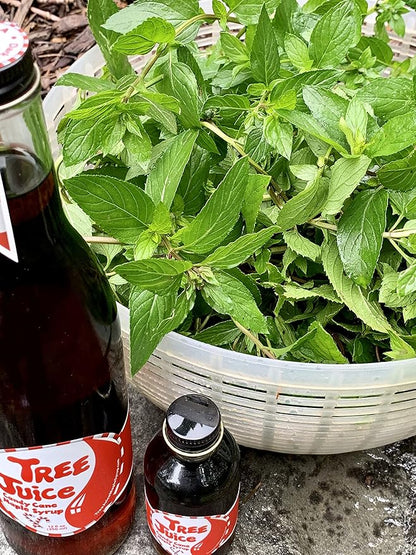 Tree Juice Peppermint Candy Cane Maple Syrup | 100% Pure Grade A Maple Syrup | All Natural, Non GMO, Vegan, Gluten Free, Vegetarian, Paleo | 12 Ounce Bottle