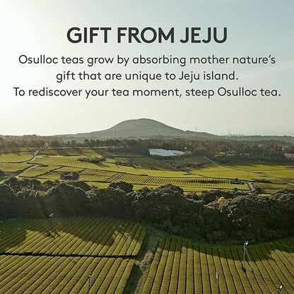 OSULLOC Fig Chocolat Black Tea (Juicy Fig & Chocolate flavor), Fruit Tea Blend, Premium Tea bags from Jeju Isalnd, 20 tea bags