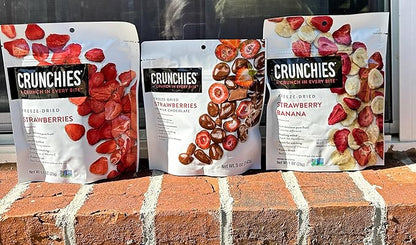 Crunchies Freeze-Dried Fruits, 100% All Natural Crispy Fruit, Non GMO and Kosher, Resealable Freeze Dried Fruit Snack Packs, Pack of 6 (Strawberry Lovers Variety Pack)