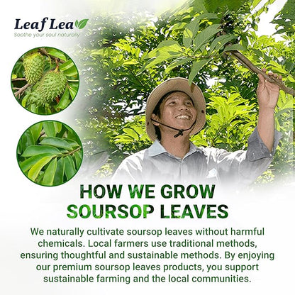 LeafLea 40 Premium Soursop Leaf Tea Bags, Pure & Natural Sour Sop Leaves, Graviola Leaves Tea, Hoja Guanabana Tea, Natural Digestion Support Herbal Tea Bags, Nutrient-Rich, No Sugar, No Caffeine