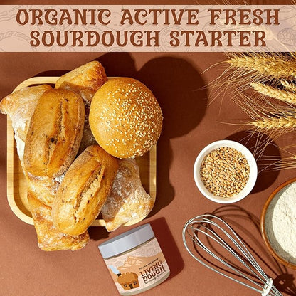 Living Dough - Gluten Free Sourdough Starter Culture - Active & Live Organic Sourdough Starter Gluten Free for Baking - For Artisanal Bread, Pizza Dough, Waffles & More
