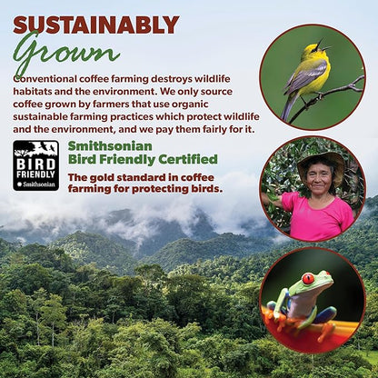 Low Acid Organic Coffee – Whole Bean, Mold-Free & Stomach Friendly by Java Planet, Peruvian Single Origin Coffee, Medium Dark Roast, Smooth Full Flavored, Smithsonian Bird Friendly, 1LB Bag